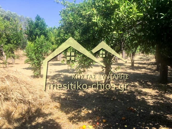 Οικόπεδο στην Καμποχώρια, Χίος — Φωτογραφία 6 από 6