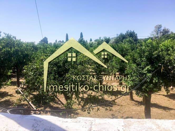 Οικόπεδο στην Καμποχώρια, Χίος — Φωτογραφία 4 από 6