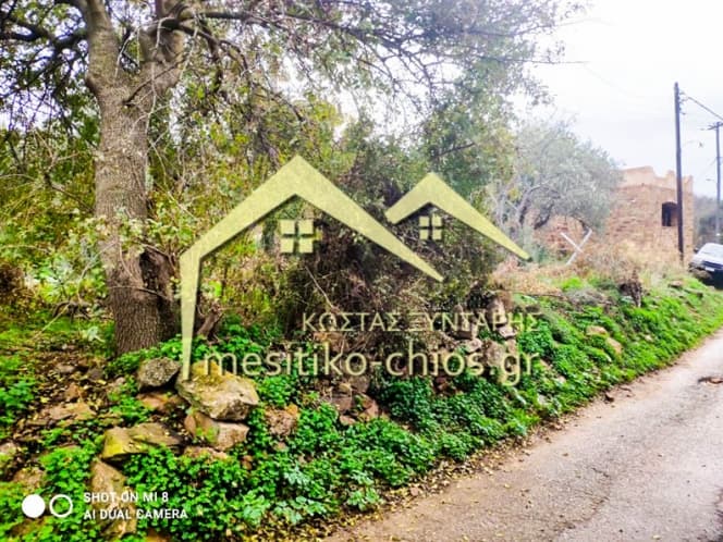 Οικόπεδο στην Άγιος Μηνάς, Χίος — Φωτογραφία 7 από 16