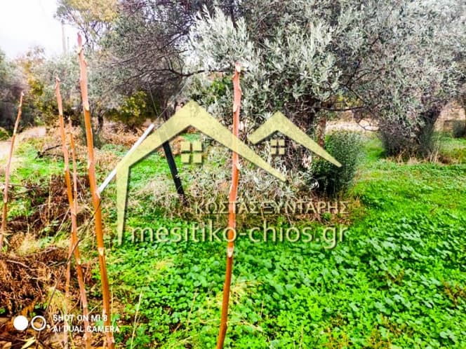 Οικόπεδο στην Άγιος Μηνάς, Χίος — Φωτογραφία 8 από 16