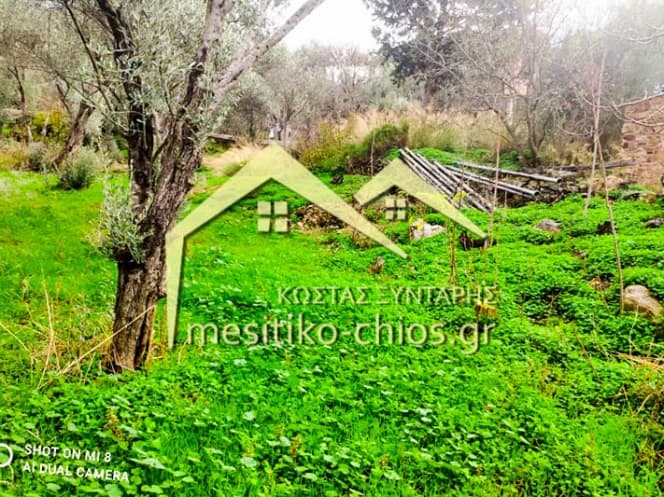Οικόπεδο στην Άγιος Μηνάς, Χίος — Φωτογραφία 3 από 16