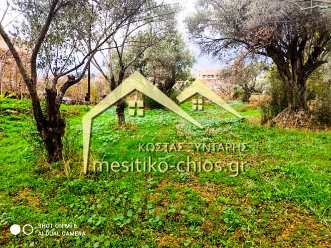 Οικόπεδο στην Άγιος Μηνάς, Χίος — Φωτογραφία 10 από 16