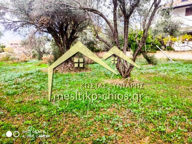 Οικόπεδο στην Άγιος Μηνάς, Χίος — Φωτογραφία 9 από 16