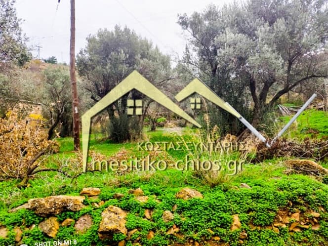Οικόπεδο στην Άγιος Μηνάς, Χίος — Φωτογραφία 6 από 16