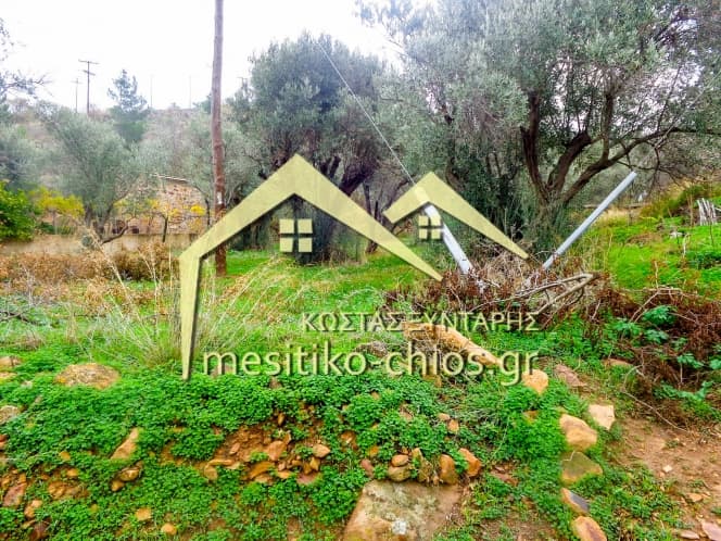 Οικόπεδο στην Άγιος Μηνάς, Χίος — Φωτογραφία 4 από 16