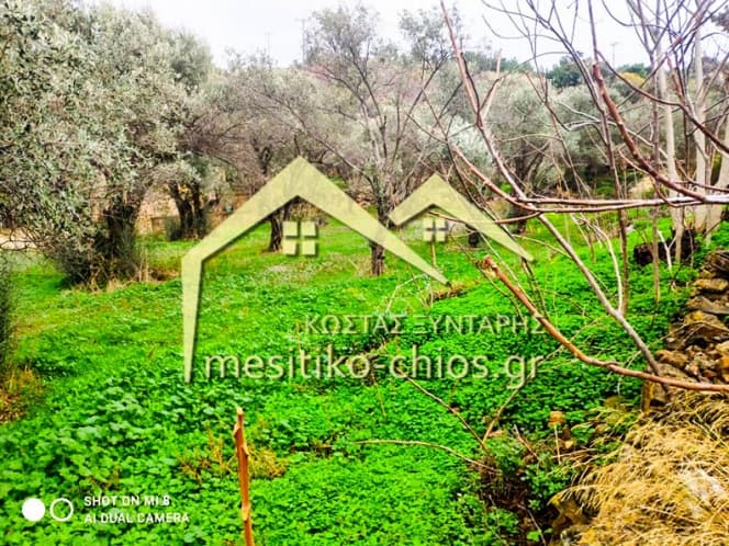 Οικόπεδο στην Άγιος Μηνάς, Χίος — Φωτογραφία 1 από 16