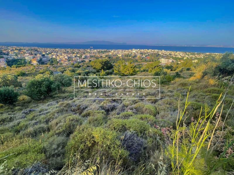 Αγροτεμάχιο στην Πόλη Χίου, Χίος — Φωτογραφία 23 από 25