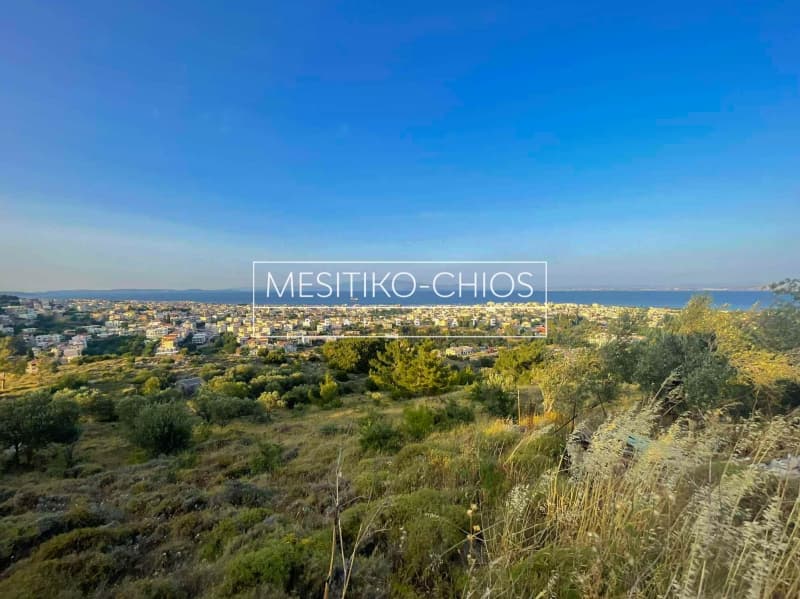 Αγροτεμάχιο στην Πόλη Χίου, Χίος — Φωτογραφία 12 από 25