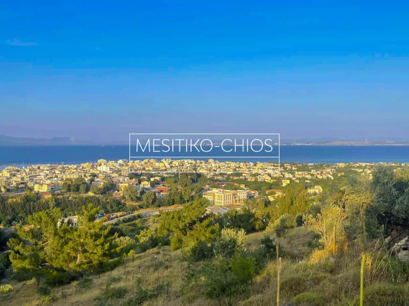Αγροτεμάχιο στην Πόλη Χίου, Χίος — Φωτογραφία 4 από 25