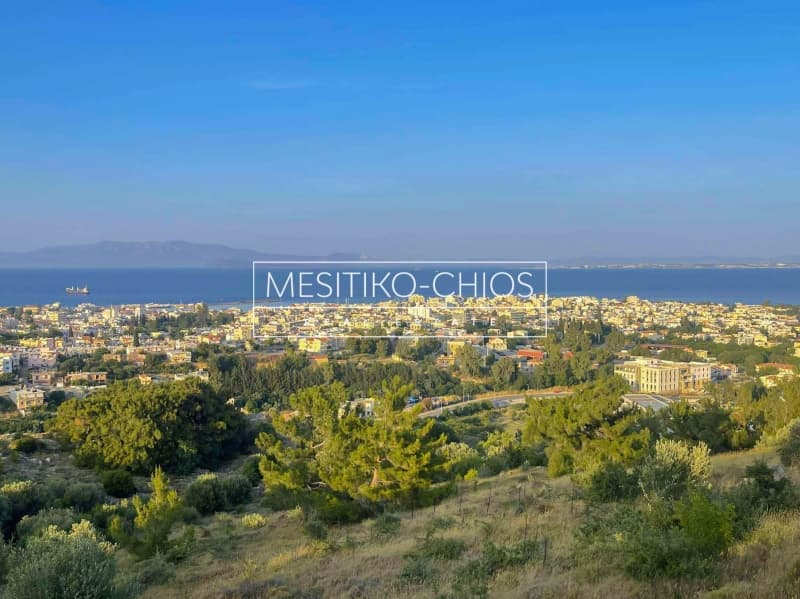 Αγροτεμάχιο στην Πόλη Χίου, Χίος — Φωτογραφία 10 από 25