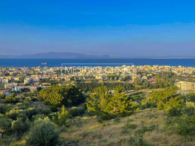 Αγροτεμάχιο στην Πόλη Χίου, Χίος — Φωτογραφία 3 από 25