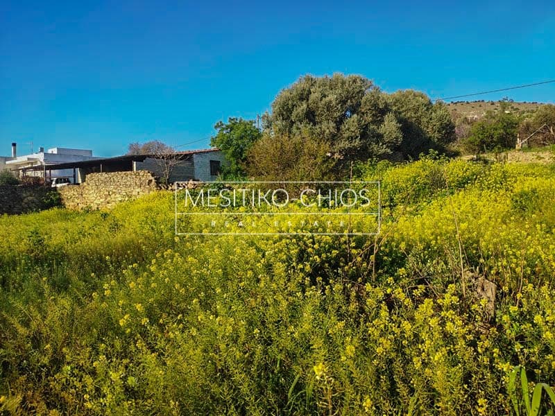 Building Plot in Chios town, Chios — Photo 8 of 16