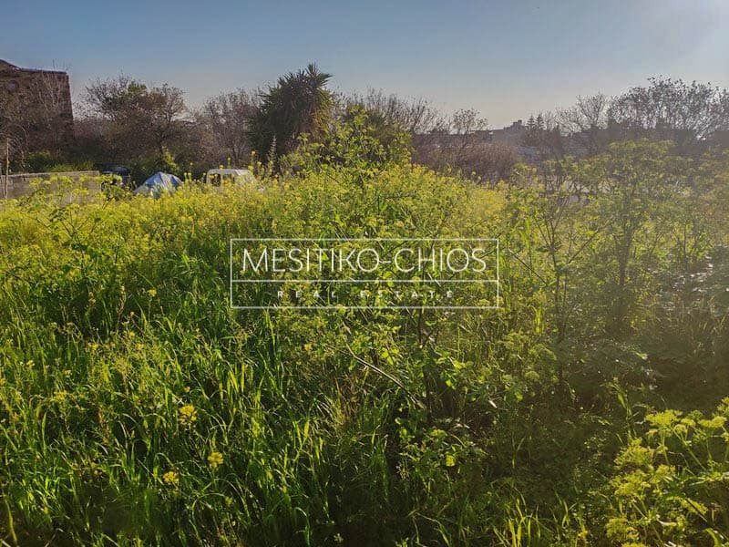 Building Plot in Chios town, Chios — Photo 14 of 16