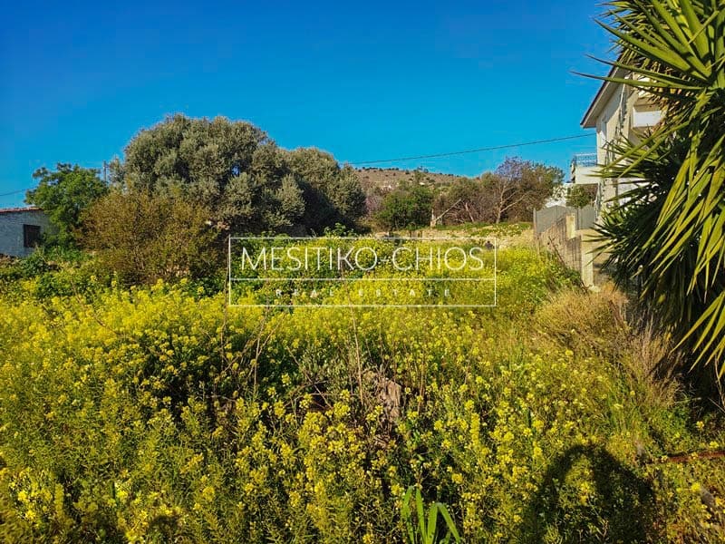 Building Plot in Chios town, Chios — Photo 9 of 16