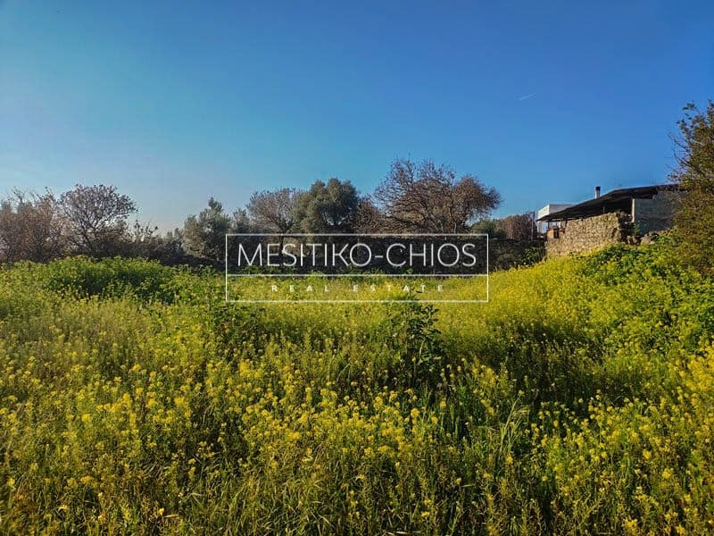 Building Plot in Chios town, Chios — Photo 2 of 16