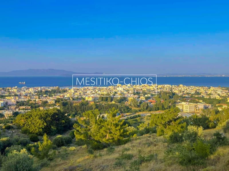 Αγροτεμάχιο στην Πόλη Χίου, Χίος — Φωτογραφία 9 από 25
