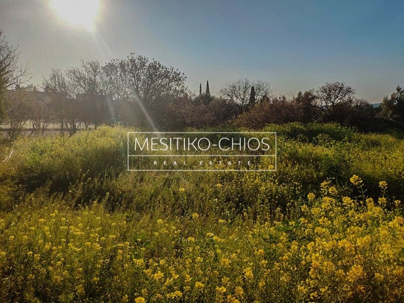 Building Plot in Chios town, Chios — Photo 4 of 16