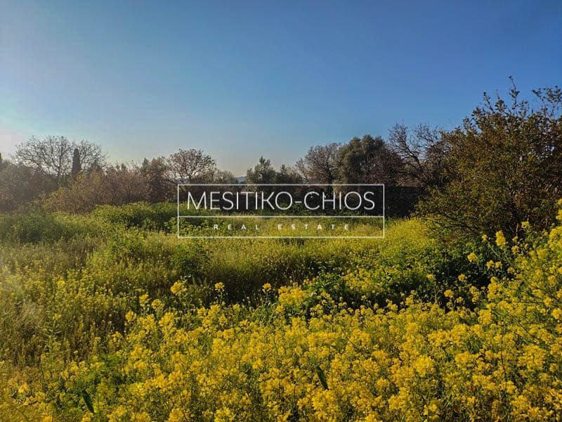 Building Plot in Chios town, Chios — Photo 3 of 16