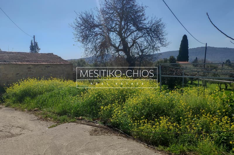 Οικόπεδο στην Άγιος Μηνάς, Χίος — Φωτογραφία 12 από 13