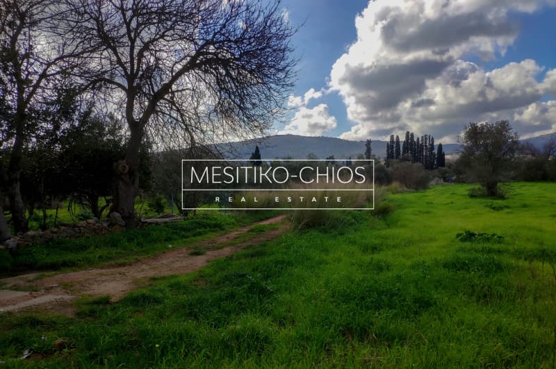 Οικόπεδο στην Άγιος Μηνάς, Χίος — Φωτογραφία 7 από 13