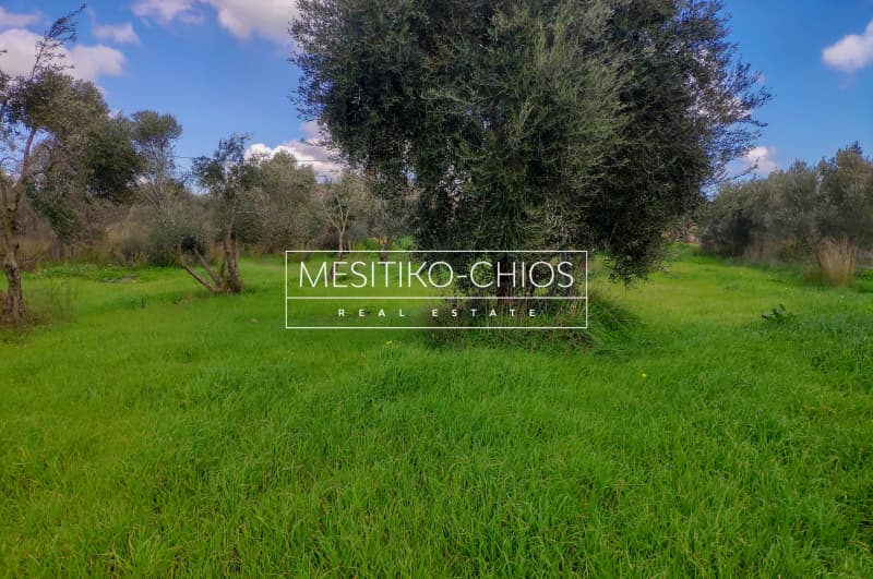 Οικόπεδο στην Άγιος Μηνάς, Χίος — Φωτογραφία 5 από 13