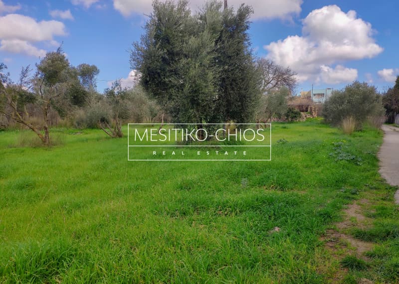 Οικόπεδο στην Άγιος Μηνάς, Χίος — Φωτογραφία 3 από 13