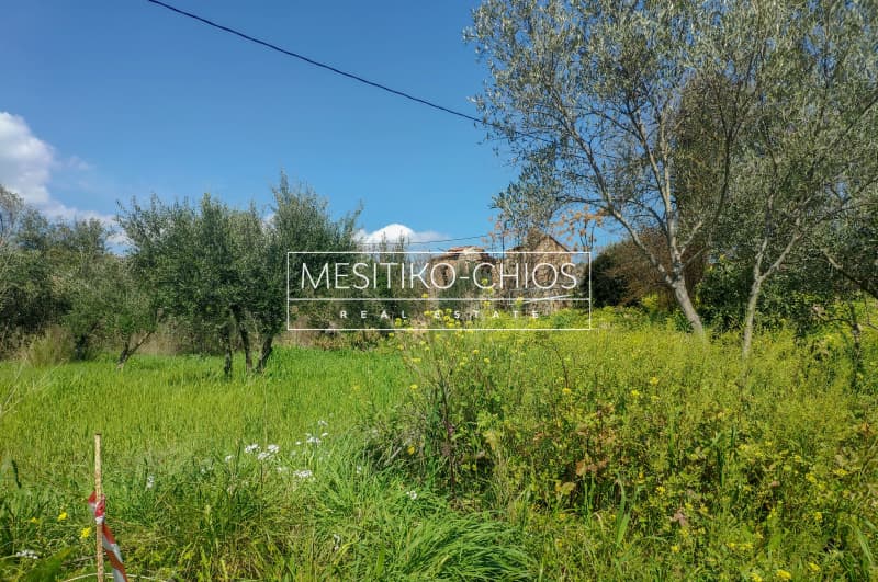 Οικόπεδο στην Άγιος Μηνάς, Χίος — Φωτογραφία 8 από 13