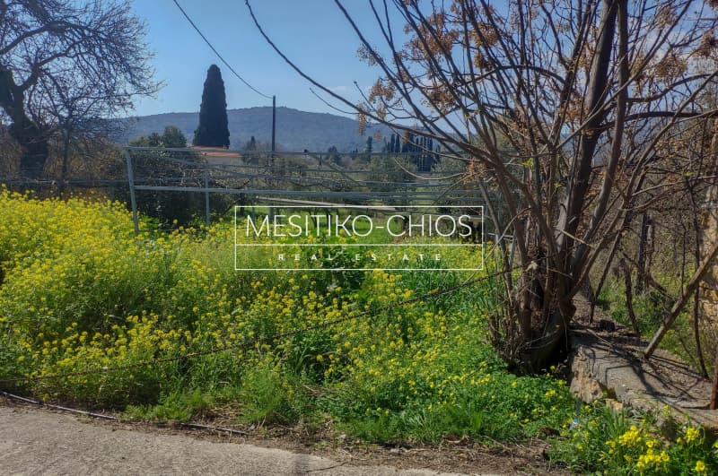 Οικόπεδο στην Άγιος Μηνάς, Χίος — Φωτογραφία 13 από 13