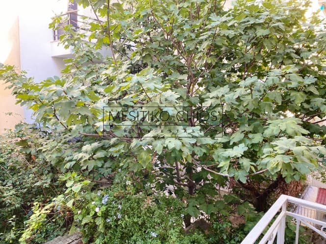 Διαμέρισμα στην Βόσπορος, Γουδή — Φωτογραφία 19 από 22