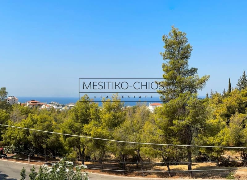 Μονοκατοικία στην Πανόραμα, Βούλα — Φωτογραφία 5 από 23