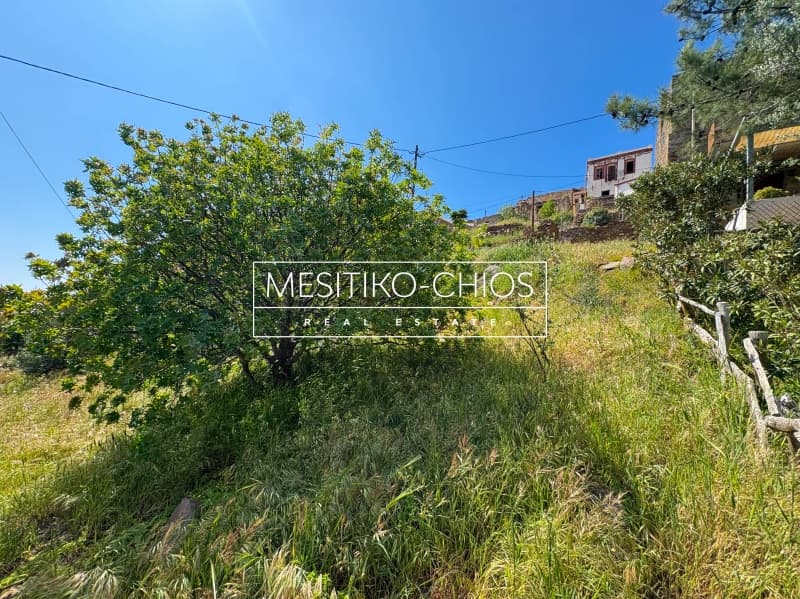 Οικόπεδο στην Αμάνη, Χίος — Φωτογραφία 11 από 25