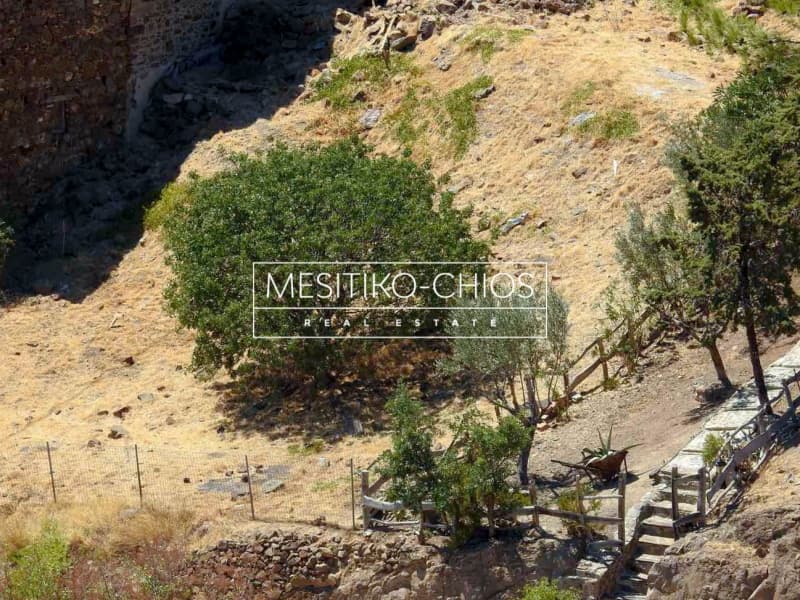 Οικόπεδο στην Αμάνη, Χίος — Φωτογραφία 23 από 25