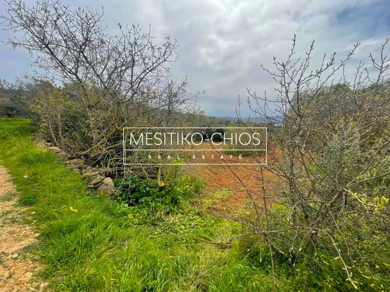 Οικόπεδο στην Άγιος Μηνάς, Χίος — Φωτογραφία 21 από 25