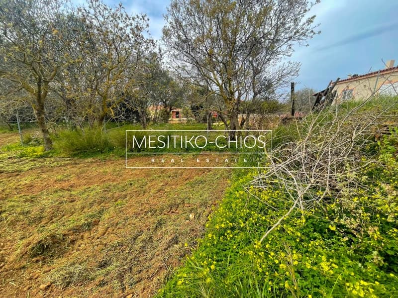 Οικόπεδο στην Άγιος Μηνάς, Χίος — Φωτογραφία 9 από 25