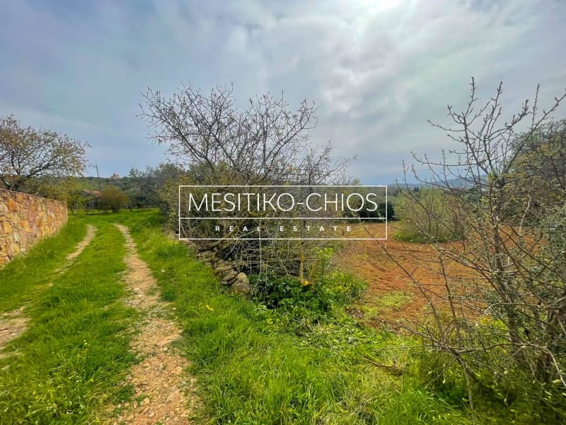 Οικόπεδο στην Άγιος Μηνάς, Χίος — Φωτογραφία 11 από 25