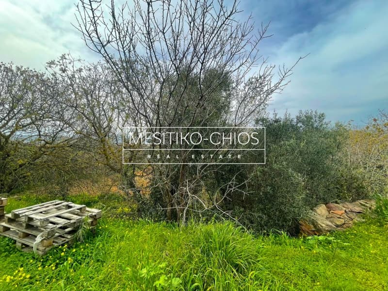 Οικόπεδο στην Άγιος Μηνάς, Χίος — Φωτογραφία 23 από 25