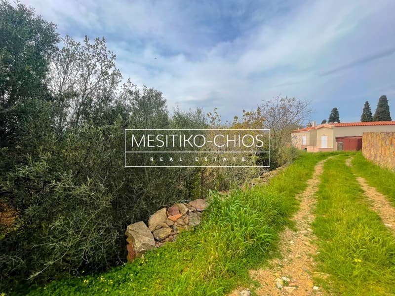Οικόπεδο στην Άγιος Μηνάς, Χίος — Φωτογραφία 12 από 25