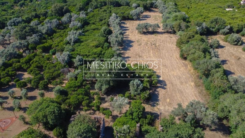 Οικόπεδο στην Άγιος Μηνάς, Χίος — Φωτογραφία 15 από 26