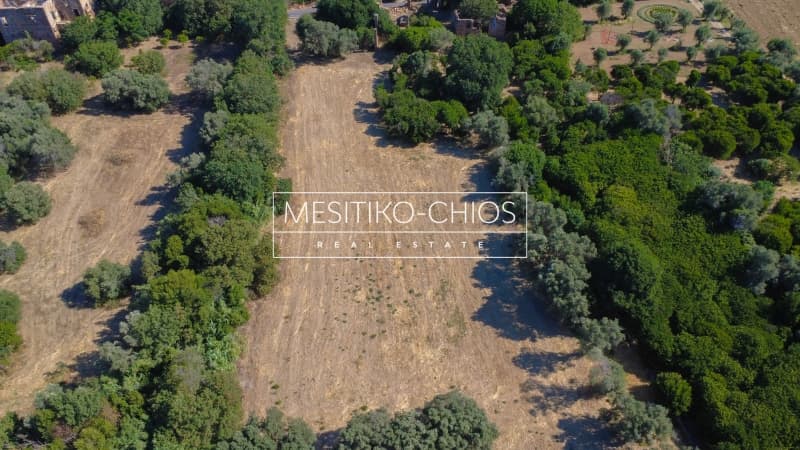 Οικόπεδο στην Άγιος Μηνάς, Χίος — Φωτογραφία 5 από 26
