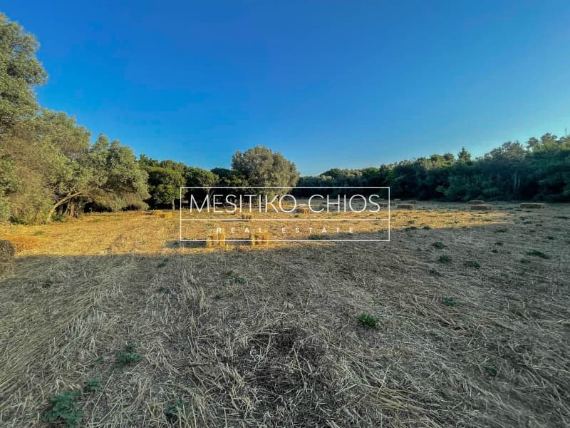 Οικόπεδο στην Άγιος Μηνάς, Χίος — Φωτογραφία 21 από 26