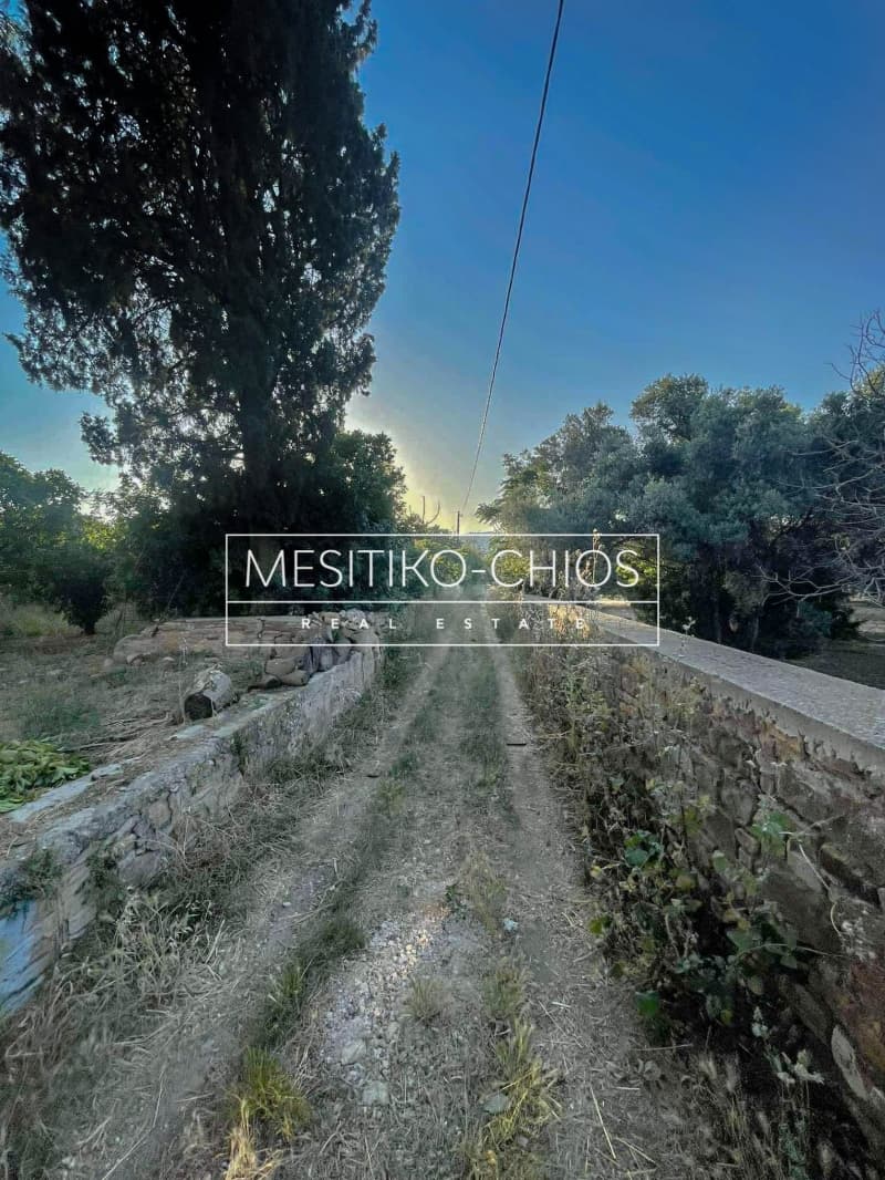 Οικόπεδο στην Άγιος Μηνάς, Χίος — Φωτογραφία 16 από 21