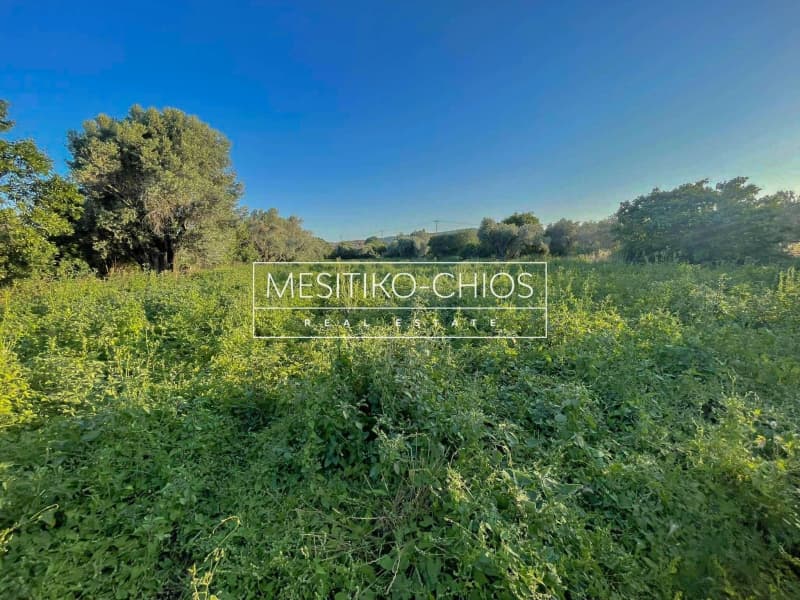 Οικόπεδο στην Άγιος Μηνάς, Χίος — Φωτογραφία 8 από 21