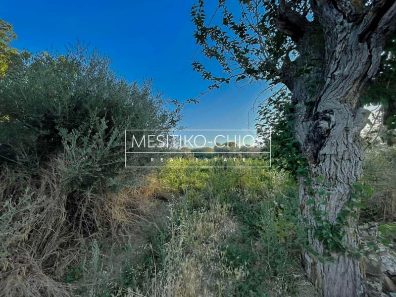 Οικόπεδο στην Άγιος Μηνάς, Χίος — Φωτογραφία 11 από 21
