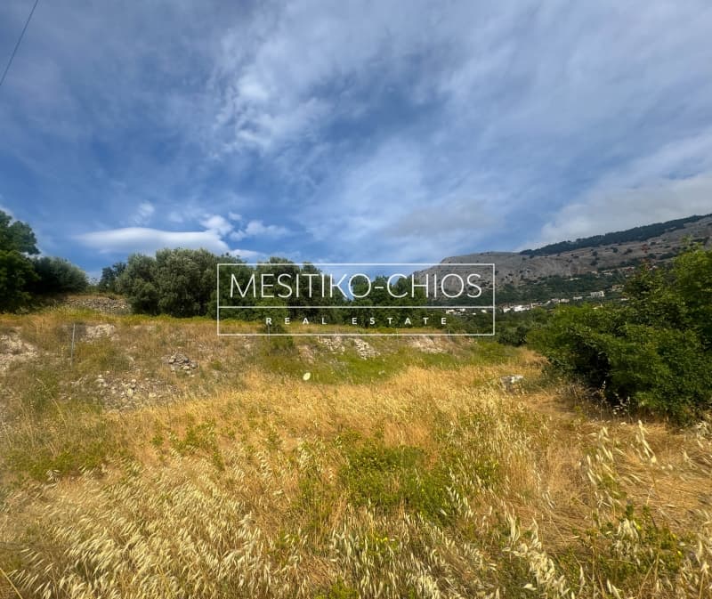 Οικόπεδο στην Πόλη Χίου, Χίος — Φωτογραφία 20 από 25
