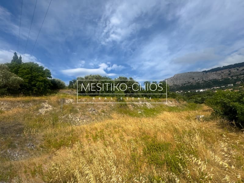 Οικόπεδο στην Πόλη Χίου, Χίος — Φωτογραφία 17 από 25