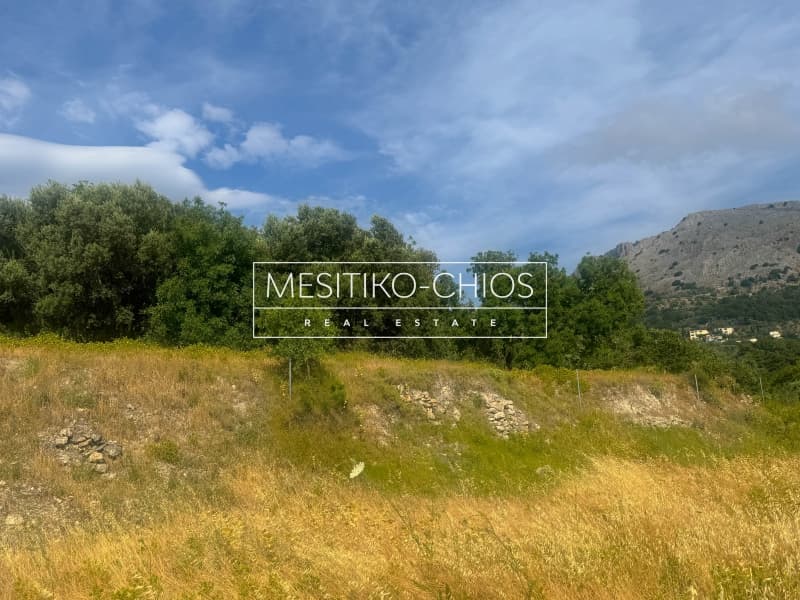 Οικόπεδο στην Πόλη Χίου, Χίος — Φωτογραφία 19 από 25