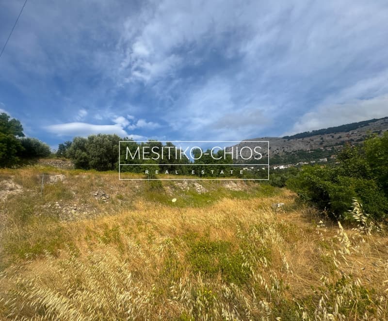 Οικόπεδο στην Πόλη Χίου, Χίος — Φωτογραφία 21 από 25