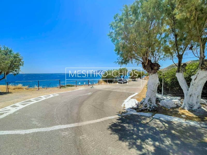 Οικόπεδο στην Ιωνία, Χίος — Φωτογραφία 21 από 25