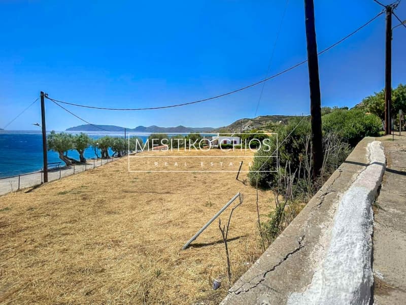 Οικόπεδο στην Ιωνία, Χίος — Φωτογραφία 8 από 25