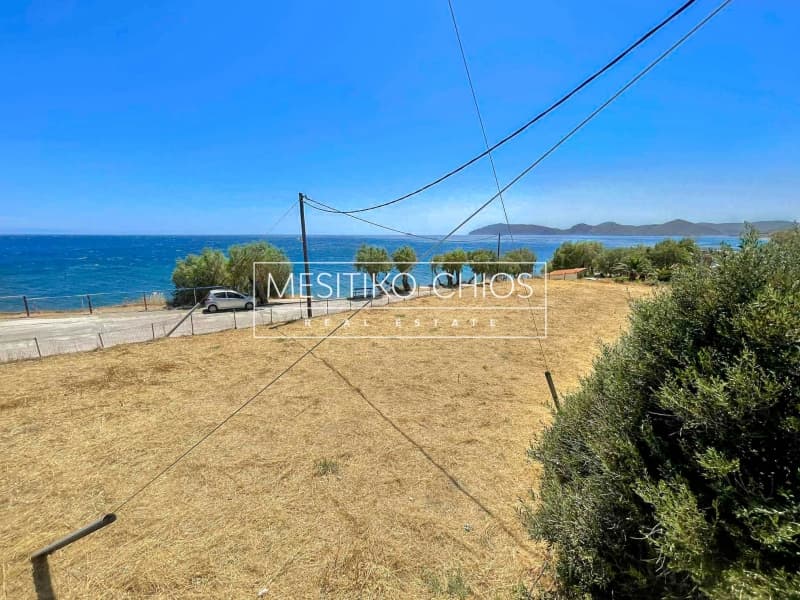 Οικόπεδο στην Ιωνία, Χίος — Φωτογραφία 3 από 25